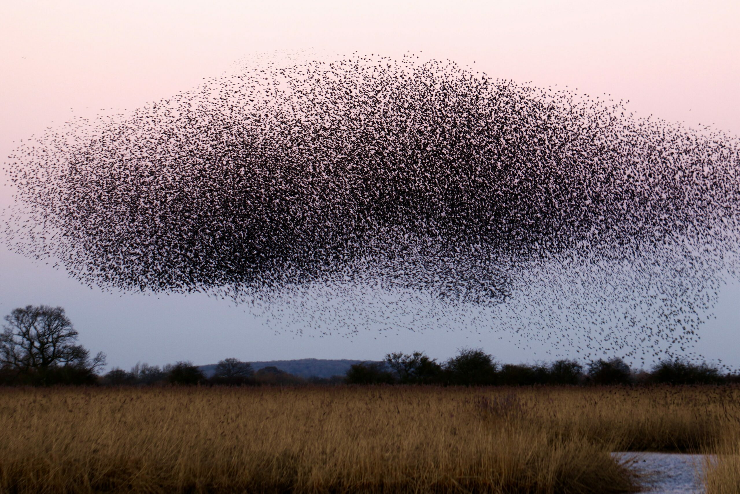 cropped-james-wainscoat-b7MZ6iGIoSI-unsplash-scaled-1.jpg